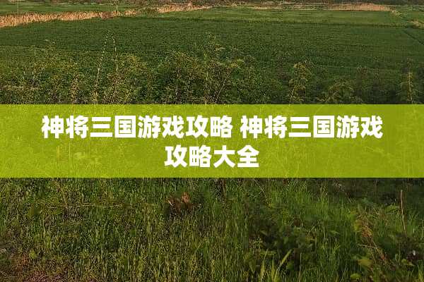 神将三国游戏攻略 神将三国游戏攻略大全