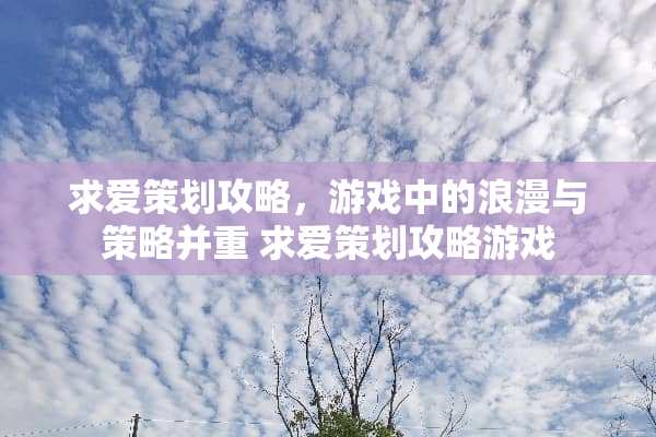 求爱策划攻略，游戏中的浪漫与策略并重 求爱策划攻略游戏
