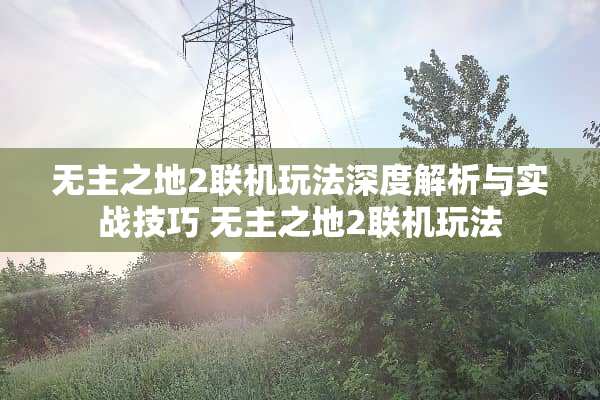 无主之地2联机玩法深度解析与实战技巧 无主之地2联机玩法