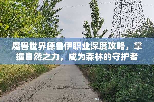 魔兽世界德鲁伊职业深度攻略，掌握自然之力，成为森林的守护者 魔兽世界德鲁伊攻略