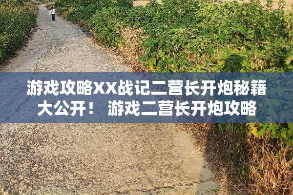 游戏攻略XX战记二营长开*秘籍大公开！ 游戏二营长开*攻略