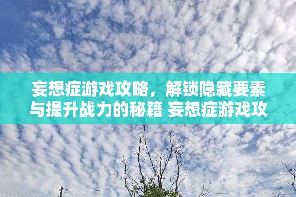 妄想症游戏攻略，解锁隐藏要素与提升战力的秘籍 妄想症游戏攻略