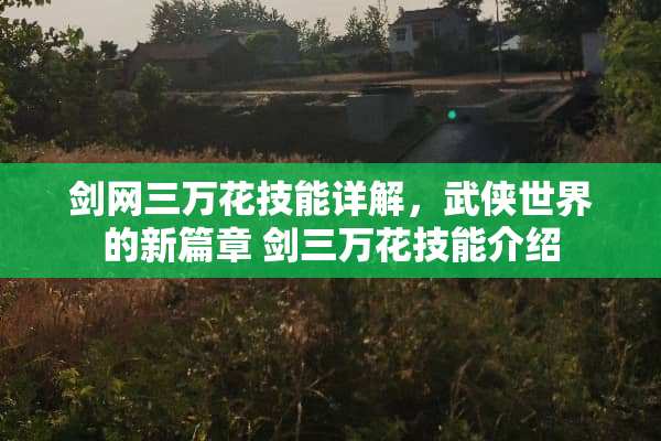 剑网三万花技能详解，武侠世界的新篇章 剑三万花技能介绍