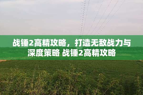 战锤2高精攻略，打造无敌战力与深度策略 战锤2高精攻略