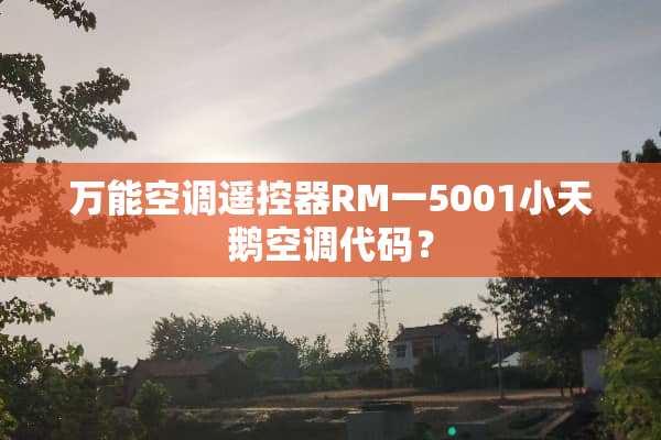 万能空调***RM一5001小天鹅空调代码？