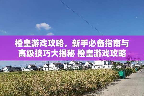 橙皇游戏攻略，新手必备指南与高级技巧大揭秘 橙皇游戏攻略