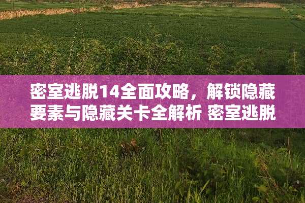 密室逃脱14全面攻略，解锁隐藏要素与隐藏关卡全解析 密室逃脱14攻略14