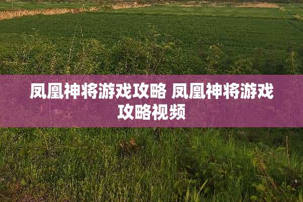 凤凰神将游戏攻略 凤凰神将游戏攻略视频