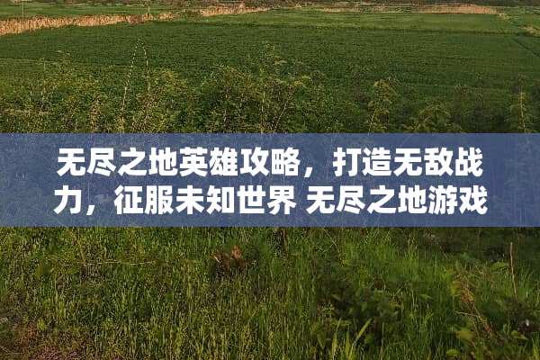 无尽之地英雄攻略，打造无敌战力，征服未知世界 无尽之地游戏英雄攻略