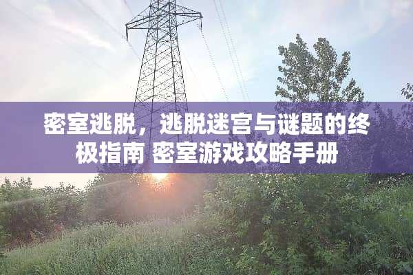 密室逃脱，逃脱迷宫与谜题的终极指南 密室游戏攻略手册