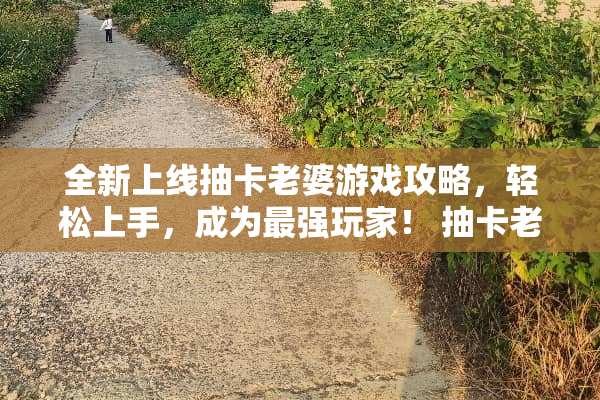 全新上线抽卡老婆游戏攻略，轻松上手，成为最强玩家！ 抽卡老婆游戏攻略