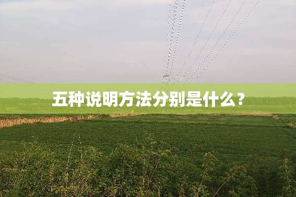 五种说明方法分别是什么？