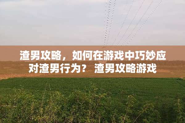 渣男攻略，如何在游戏中巧妙应对渣男行为？ 渣男攻略游戏