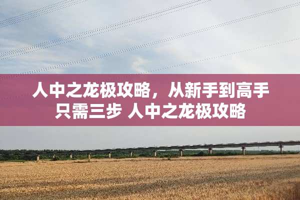人中之龙极攻略，从新手到高手只需三步 人中之龙极攻略