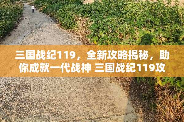 三国战纪119，全新攻略揭秘，助你成就一代战神 三国战纪119攻略