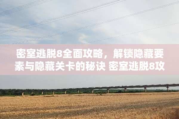 密室逃脱8全面攻略，解锁隐藏要素与隐藏关卡的秘诀 密室逃脱8攻略