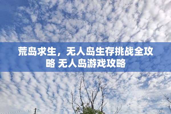 荒岛求生，无人岛生存挑战全攻略 无人岛游戏攻略