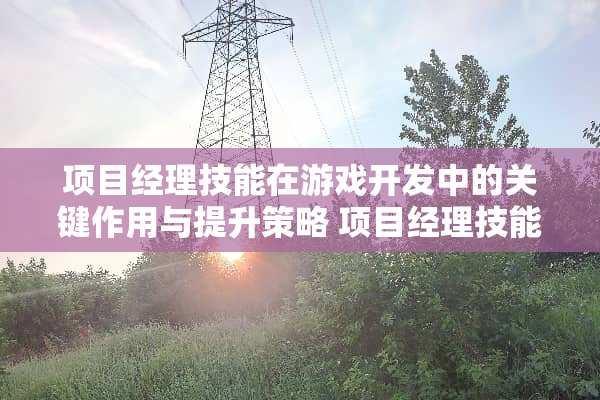 项目经理技能在游戏开发中的关键作用与提升策略 项目经理技能
