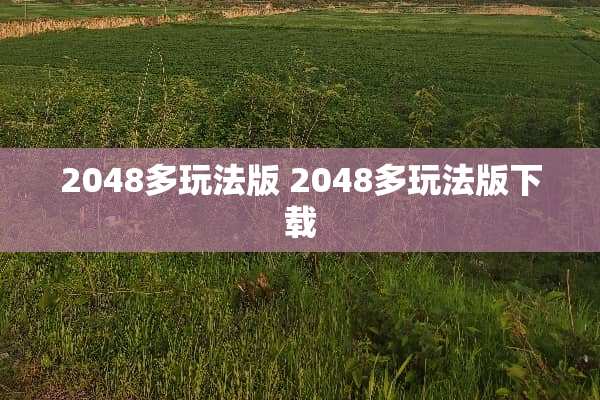 2048多玩法版 2048多玩法版下载