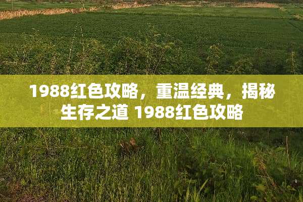 1988红色攻略，重温经典，揭秘生存之道 1988红色攻略