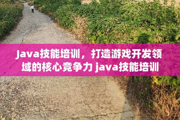 Java技能培训，打造游戏开发领域的核心竞争力 java技能培训