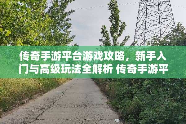 传奇手游平台游戏攻略，新手入门与高级玩法全解析 传奇手游平台游戏攻略