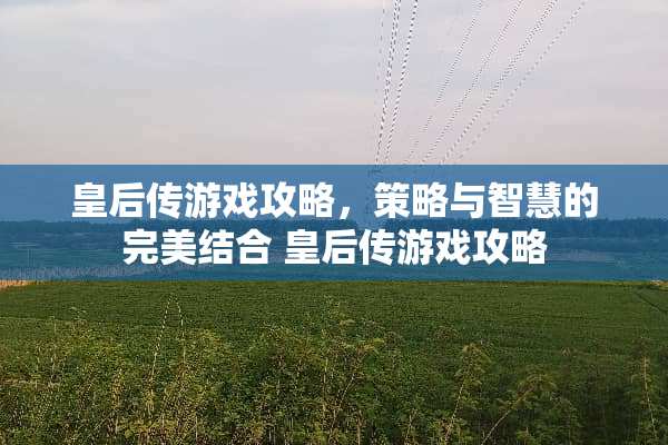 皇后传游戏攻略，策略与智慧的完美结合 皇后传游戏攻略
