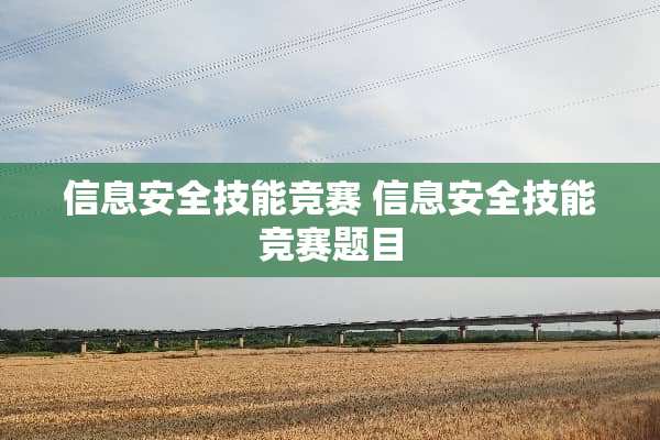 信息安全技能竞赛 信息安全技能竞赛题目