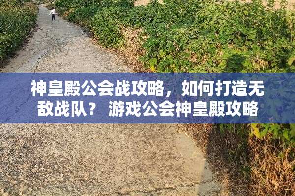 神皇殿公会战攻略，如何打造无敌战队？ 游戏公会神皇殿攻略