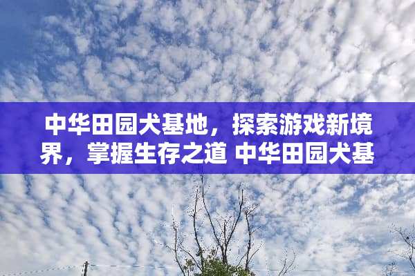 中华田园犬基地，探索游戏新境界，掌握生存之道 中华田园犬基地游戏攻略