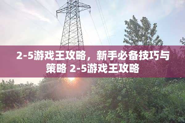2-5游戏王攻略，新手必备技巧与策略 2-5游戏王攻略