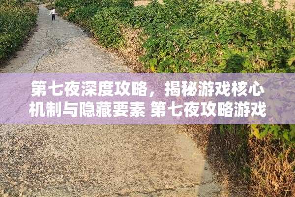 第七夜深度攻略，揭秘游戏核心机制与隐藏要素 第七夜攻略游戏