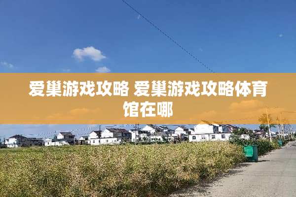 爱巢游戏攻略 爱巢游戏攻略体育馆在哪