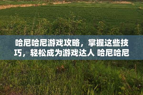 哈尼哈尼游戏攻略，掌握这些技巧，轻松成为游戏达人 哈尼哈尼攻略