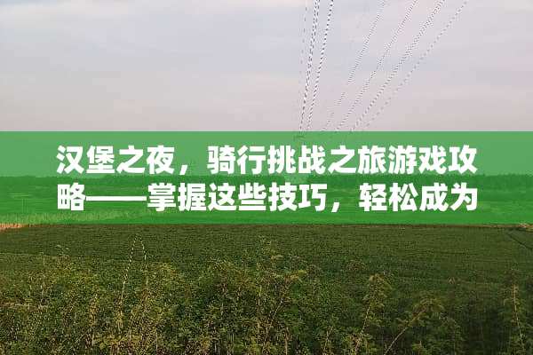 汉堡之夜，骑行挑战之旅游戏攻略——掌握这些技巧，轻松成为骑行达人 汉堡之夜骑单车游戏攻略