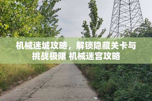 机械迷城攻略，解锁隐藏关卡与挑战极限 机械迷宫攻略