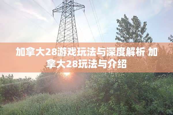 加拿大28游戏玩法与深度解析 加拿大28玩法与介绍