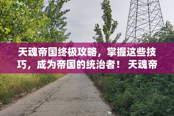 天魂帝国终极攻略，掌握这些技巧，成为帝国的统治者！ 天魂帝国游戏攻略