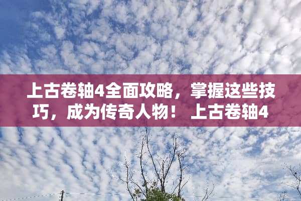 上古卷轴4全面攻略，掌握这些技巧，成为传奇人物！ 上古卷轴4攻略