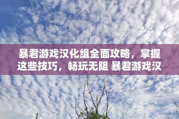 暴君游戏汉化组全面攻略，掌握这些技巧，畅玩无阻 暴君游戏汉化组攻略
