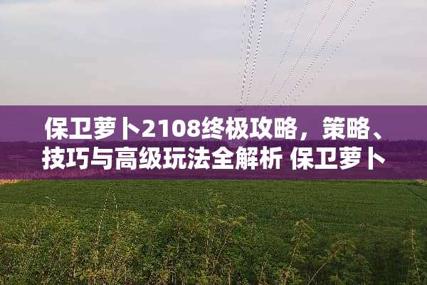 保卫萝卜2108终极攻略，策略、技巧与高级玩法全解析 保卫萝卜2108攻略