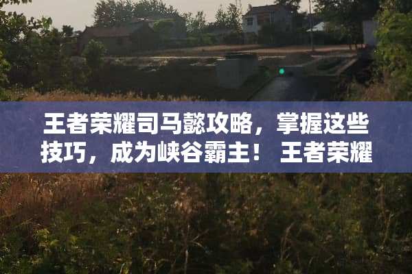 王者荣耀司马懿攻略，掌握这些技巧，成为峡谷霸主！ 王者荣耀司马懿攻略