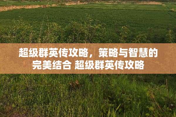 超级群英传攻略，策略与智慧的完美结合 超级群英传攻略