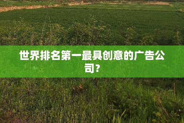 世界排名第一最具创意的广告公司？