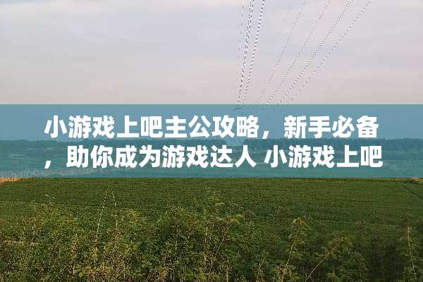 小游戏上吧主公攻略，新手必备，助你成为游戏达人 小游戏上吧主公攻略