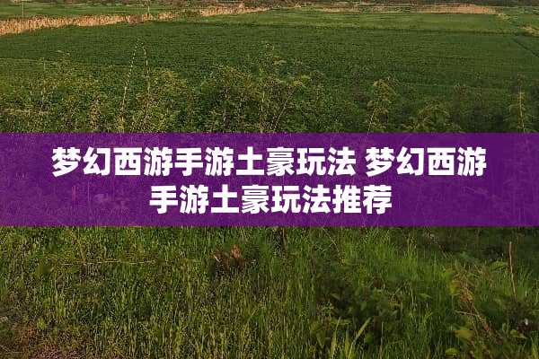 梦幻西游手游土豪玩法 梦幻西游手游土豪玩法推荐