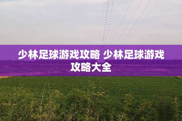 少林**游戏攻略 少林**游戏攻略大全