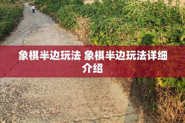 象棋半边玩法 象棋半边玩法详细介绍