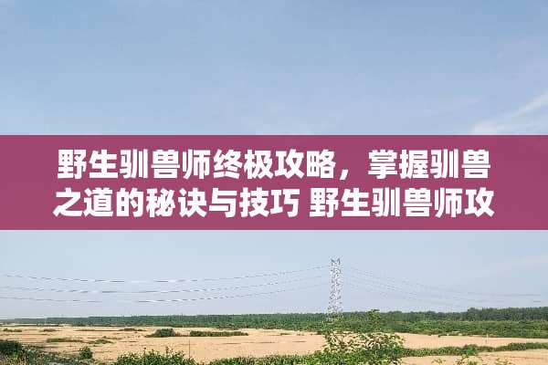 野生驯兽师终极攻略，掌握驯兽之道的秘诀与技巧 野生驯兽师攻略