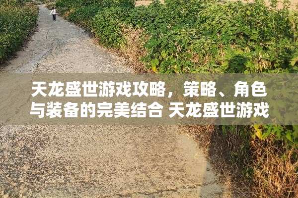 天龙盛世游戏攻略，策略、角色与装备的完美结合 天龙盛世游戏攻略